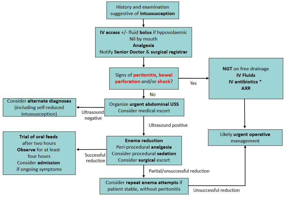 Intussusception CPG flowchart image